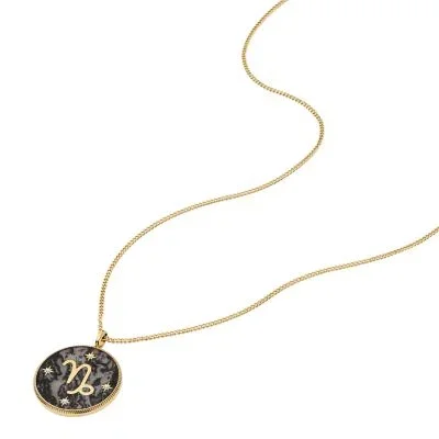 Capricorn Sutton Zodiac Gold-Tone Stainless Steel Gray Hematite Pendant Necklace Capricorn Sutton Zodiac Gold-Tone Stainless Steel Gray Hematite Pendant Necklace