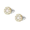 Ellis All Stacked Up Gold-Tone Stainless Steel Stud Earrings Ellis All Stacked Up Gold-Tone Stainless Steel Stud Earrings