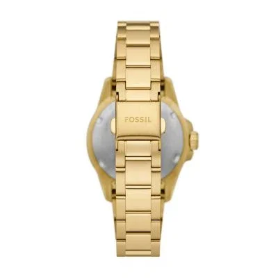 Fossil Blue Dive Three-Hand Gold-Tone Stainless Steel Watch Fossil Blue Dive Three-Hand Gold-Tone Stainless Steel Watch
