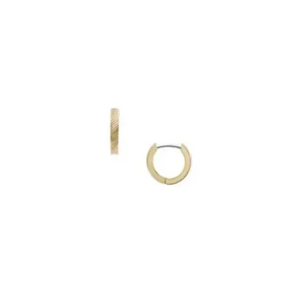 Harlow Linear Texture Gold-Tone Stainless Steel Hoop Earrings