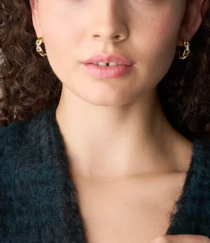 Heritage D-Link Glitz Two-Tone Stainless Steel Hoop Earrings Heritage D-Link Glitz Two-Tone Stainless Steel Hoop Earrings
