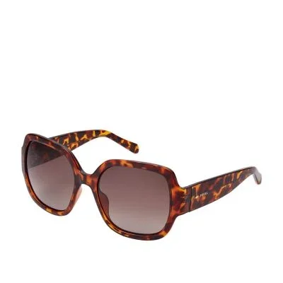 Loren Square Sunglasses Loren Square Sunglasses