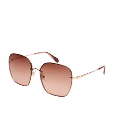 Lorena Square Sunglasses Lorena Square Sunglasses