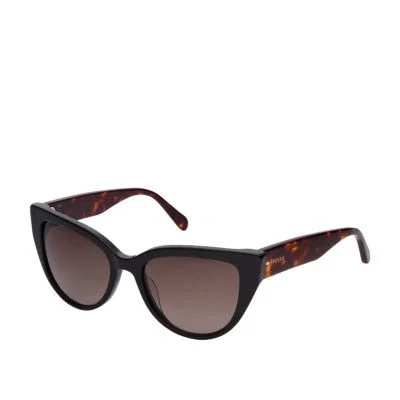 Norah Cat Eye Sunglasses Norah Cat Eye Sunglasses