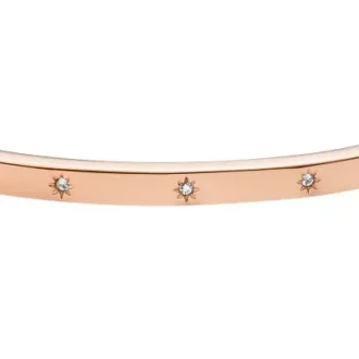 Sadie Shine Bright Rose Gold-Tone Stainless Steel Bangle Bracelet