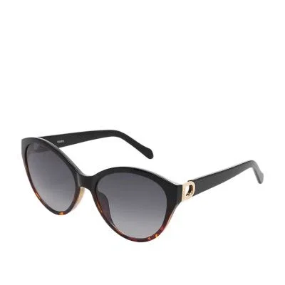 Stellah Cat Eye Sunglasses Stellah Cat Eye Sunglasses